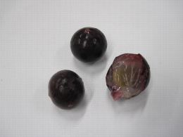 Baie de Camu Camu de la forêt d'Amazonie - Myrtacées